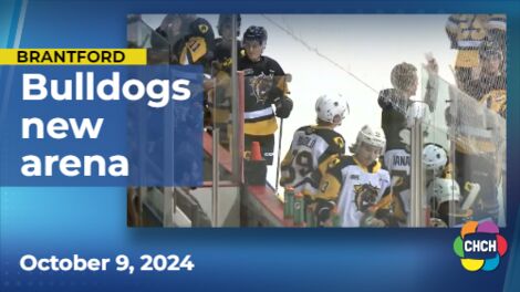 Brantford Bulldogs look to long-term as city approves $140M arena