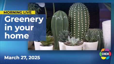 Incorporate greenery into your home this spring