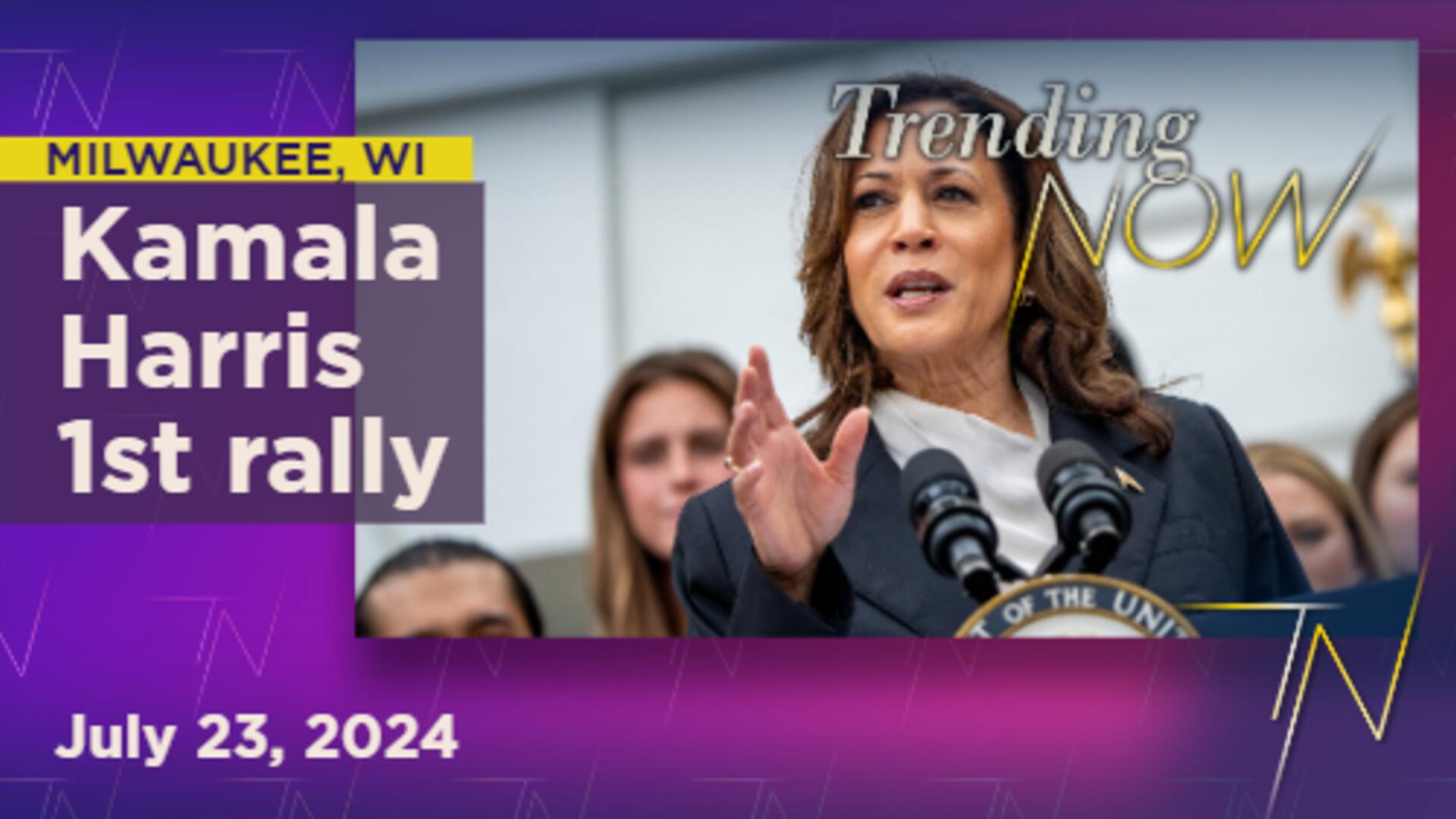 VP Harris on track to lead Democratic Party