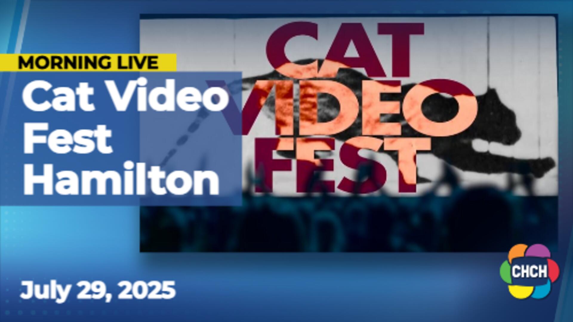 Cat Video Fest comes to Hamilton's Playhouse Cinema