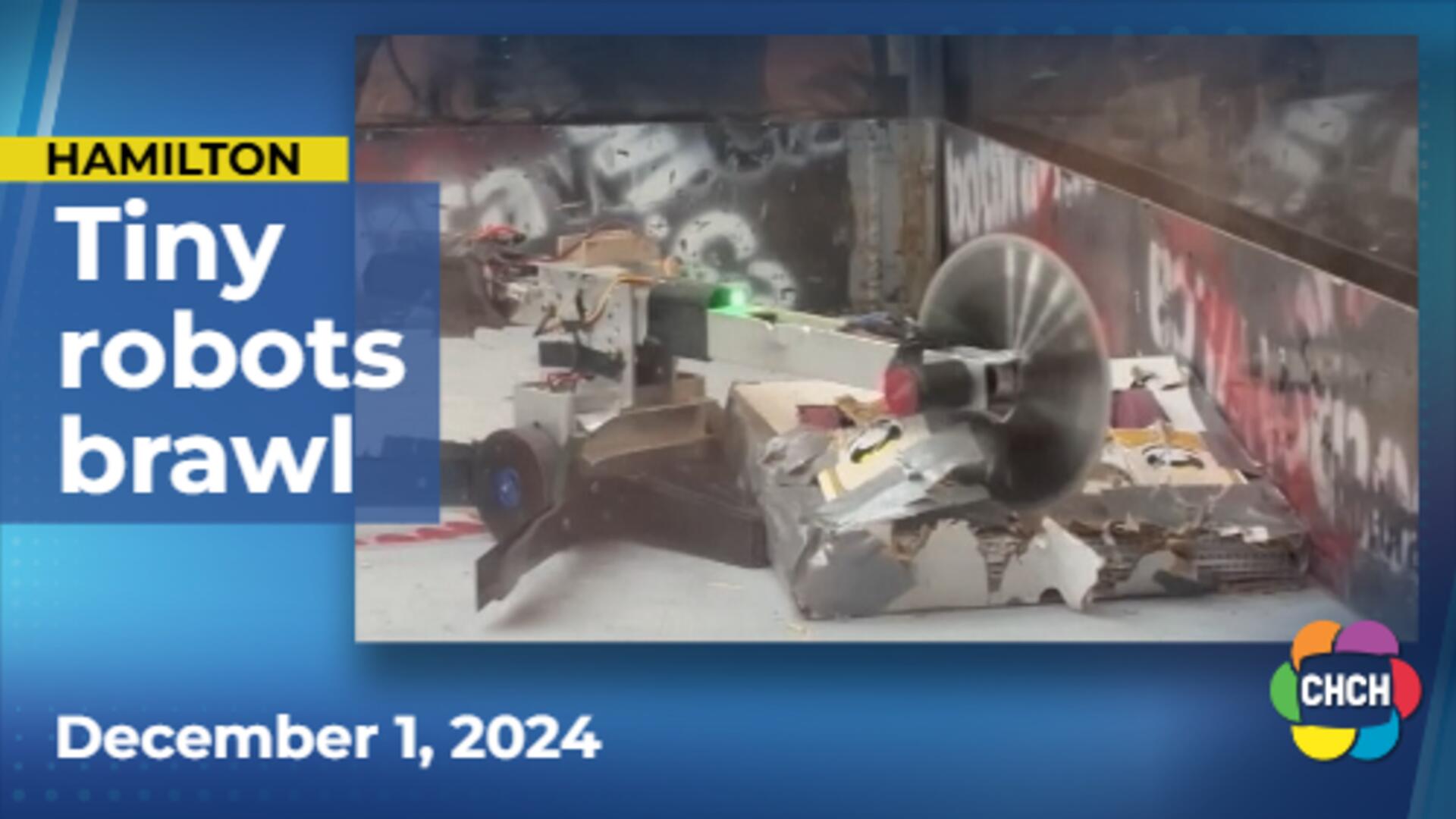 Bot Brawl: Tiny robots clash in Hamilton