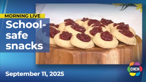 Bite-sized, school-safe snack recipes