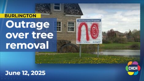 Communities, Environment Canada up at arms as development begins in Millcroft area