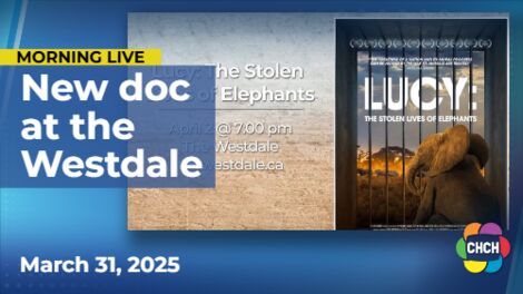 A new documentary screens at The Westdale Wednesday