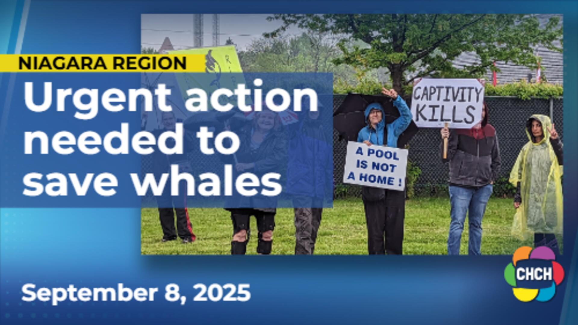 More whales at Niagara Falls' Marineland will die without urgent action, expert says