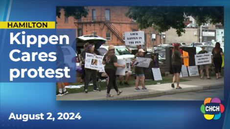 Activists calling for action in 'Kippen Cares' animal abuse allegations