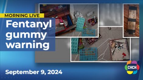 Hamilton police warn of fentanyl-laced gummies after recent search