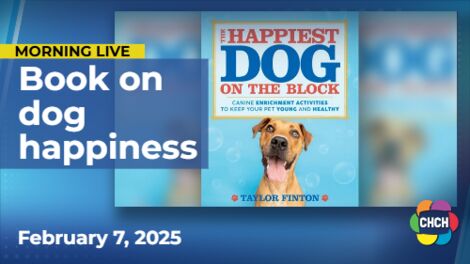 Get creative canine enrichment activities from 'The Happiest Dog on the Block'