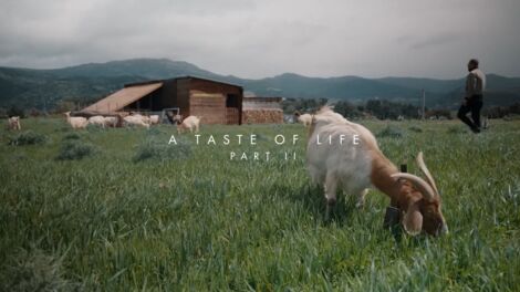 S2E008 A Taste of Life Pt. 2