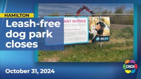 Hamilton Burlington SPCA closes leash-free park to increase program capacities