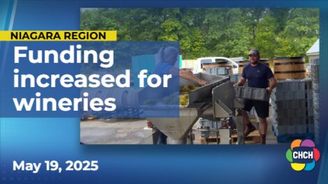 Niagara wineries optimistic following $35M provincial investment in grape farms