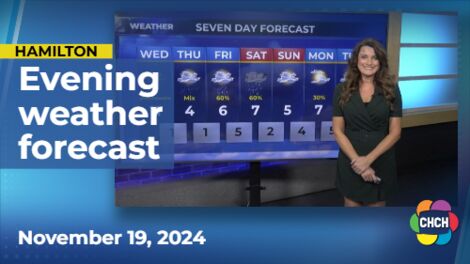 Evening weather forecast for November 19, 2024