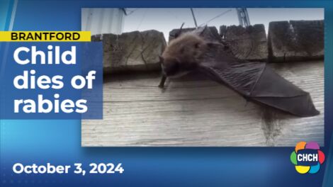 Brantford-Brant child dies from rabies exposure in Timiskaming region