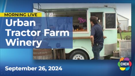 Raise a stained glass to a boutique craft winery in Beamsville