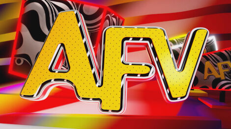 S35E017 America's Funniest Home Videos S35E17