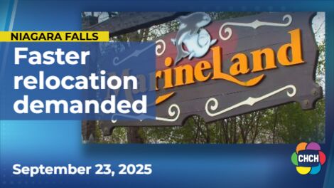 Animal rights groups demand faster relocation of Marineland animals
