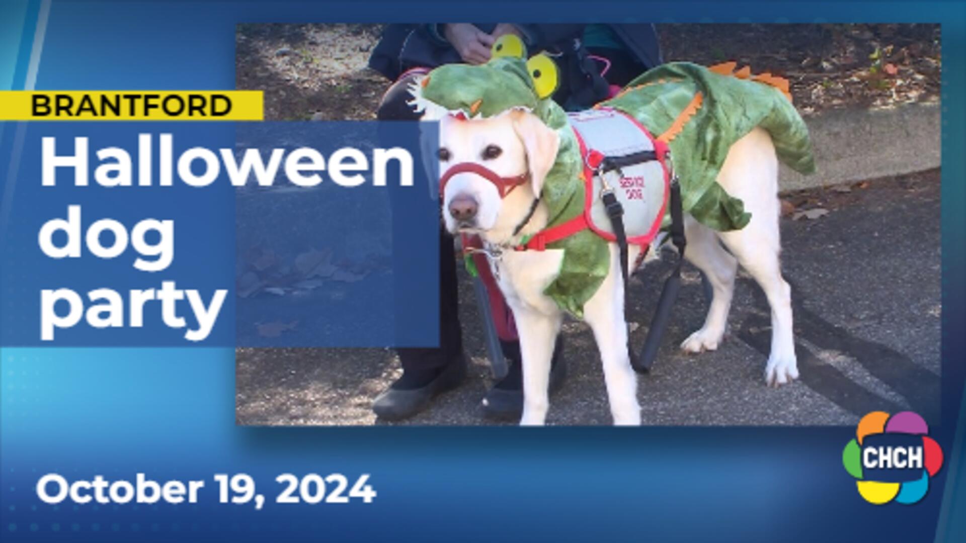 Brantford’s Howl-o-Ween Pawty raises funds for autism service dogs