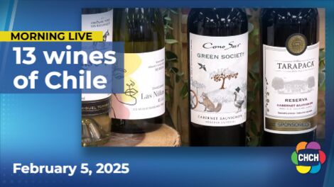 'Taste the Untamed' with 13 wines of Chile