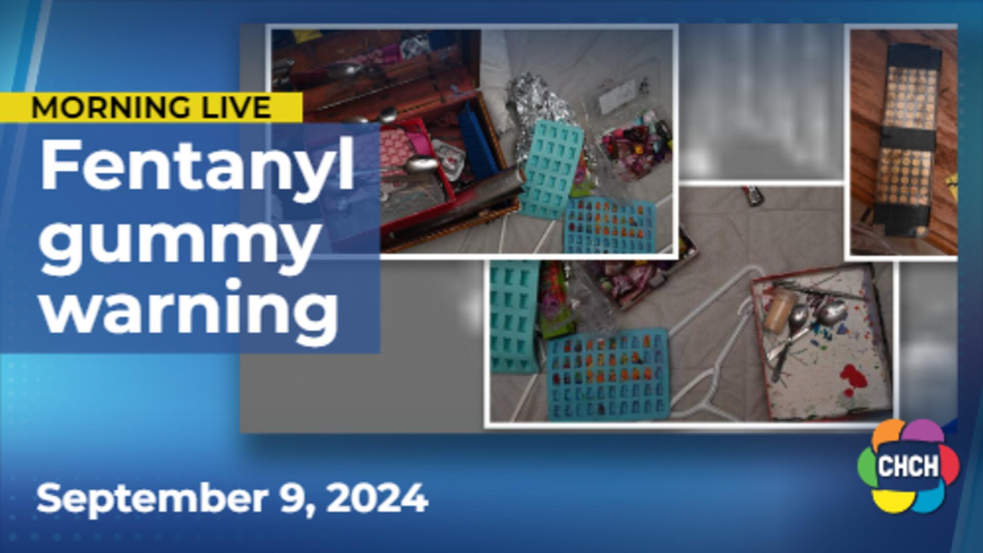 Hamilton police warn of fentanyl-laced gummies after recent search