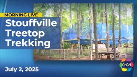 Adventure awaits at Treetop Trekking