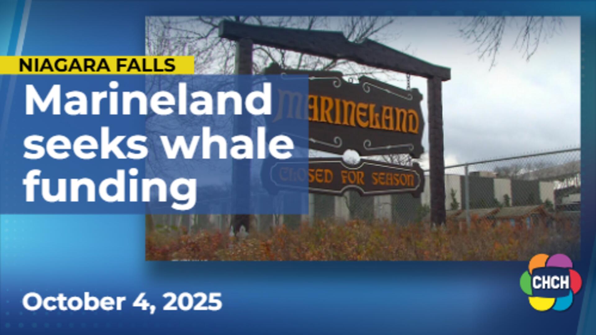 Marineland seeks federal aid for whales amid export permit denial