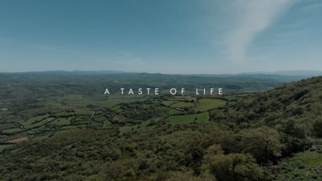 S2E007 A Taste of Life Pt. 1