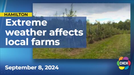 Flash flooding, extreme heat during summer affecting local farms