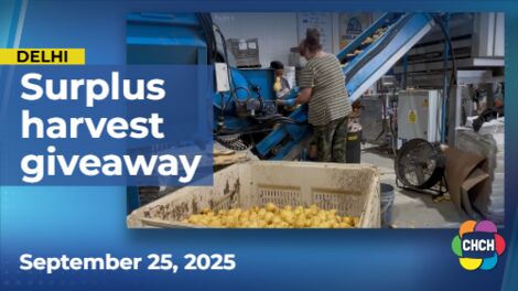 13 farms join Grow & Gather from Farms to Families harvest festival in Delhi