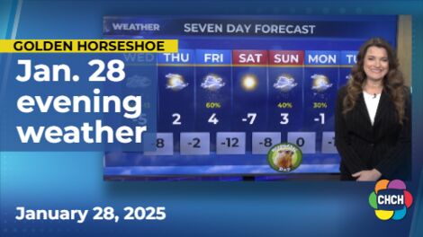 Evening weather forecast for January 28, 2025