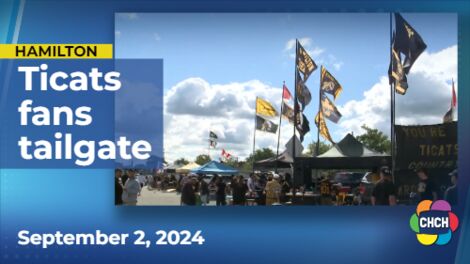 'Oskee wee wee baby!': Tabbies Nation turns up for Labour Day