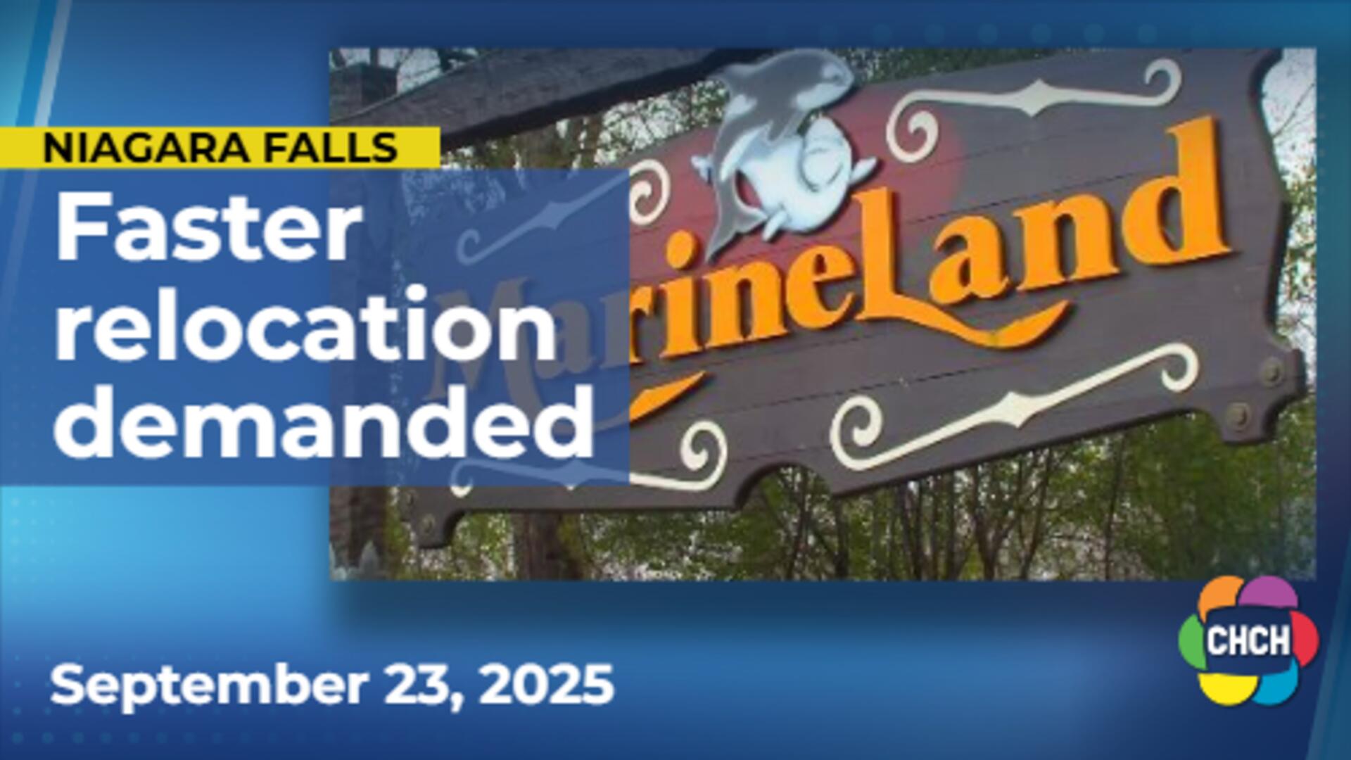 Animal rights groups demand faster relocation of Marineland animals