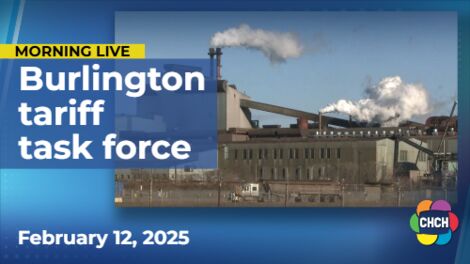 Burlington mayor starts tariff task force