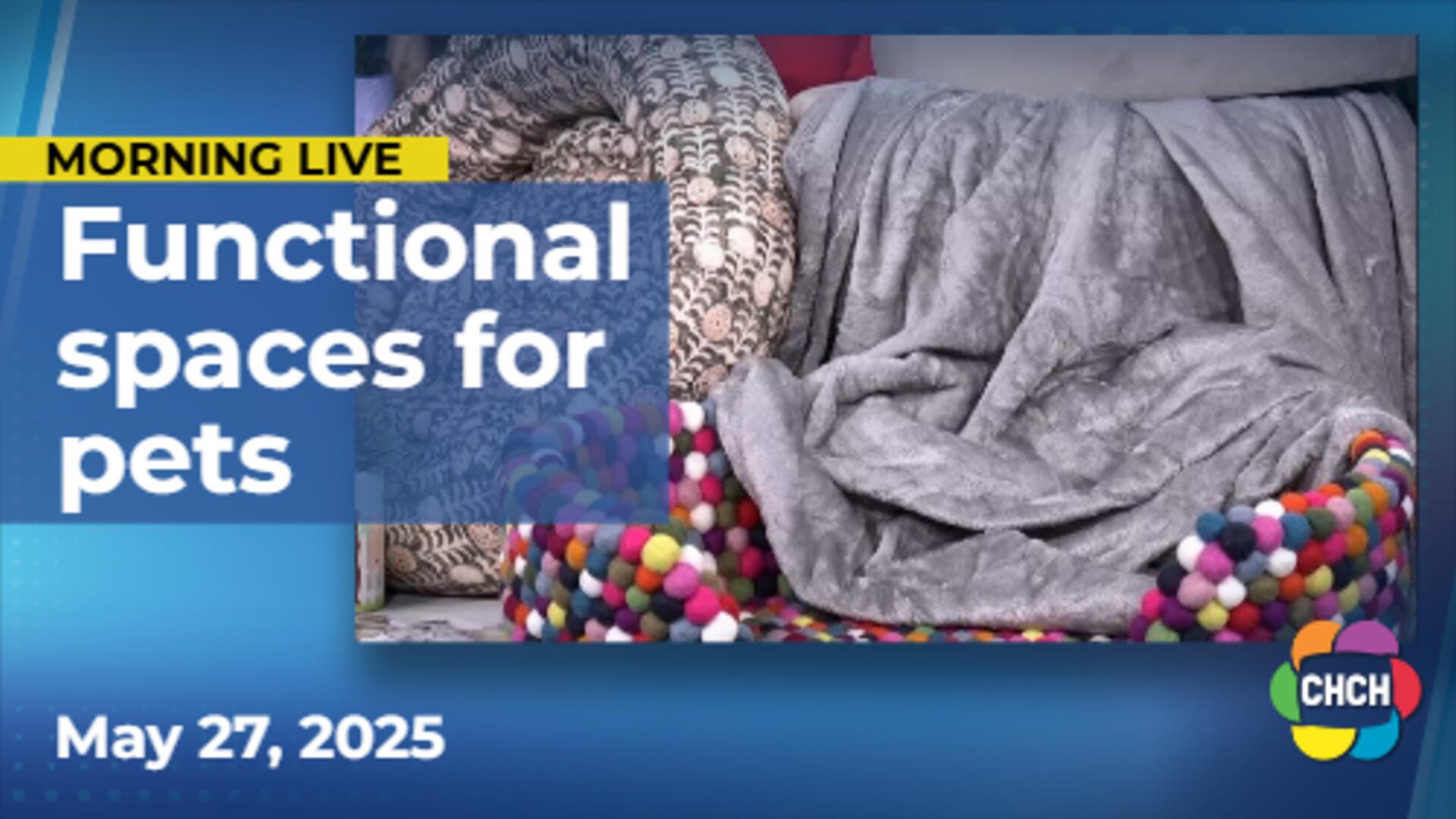 Creating a beautiful and functional space for your pets