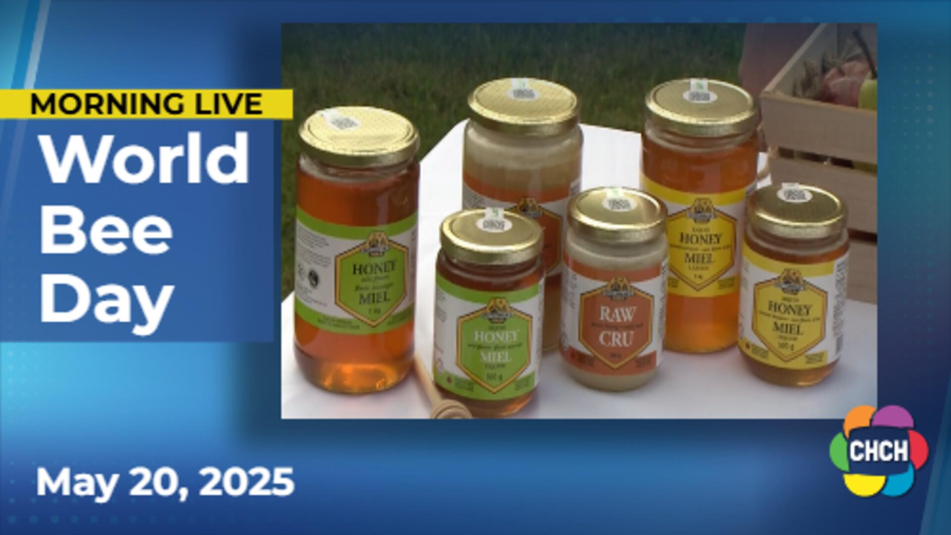 'Bee inspired' to learn on World Bee Day