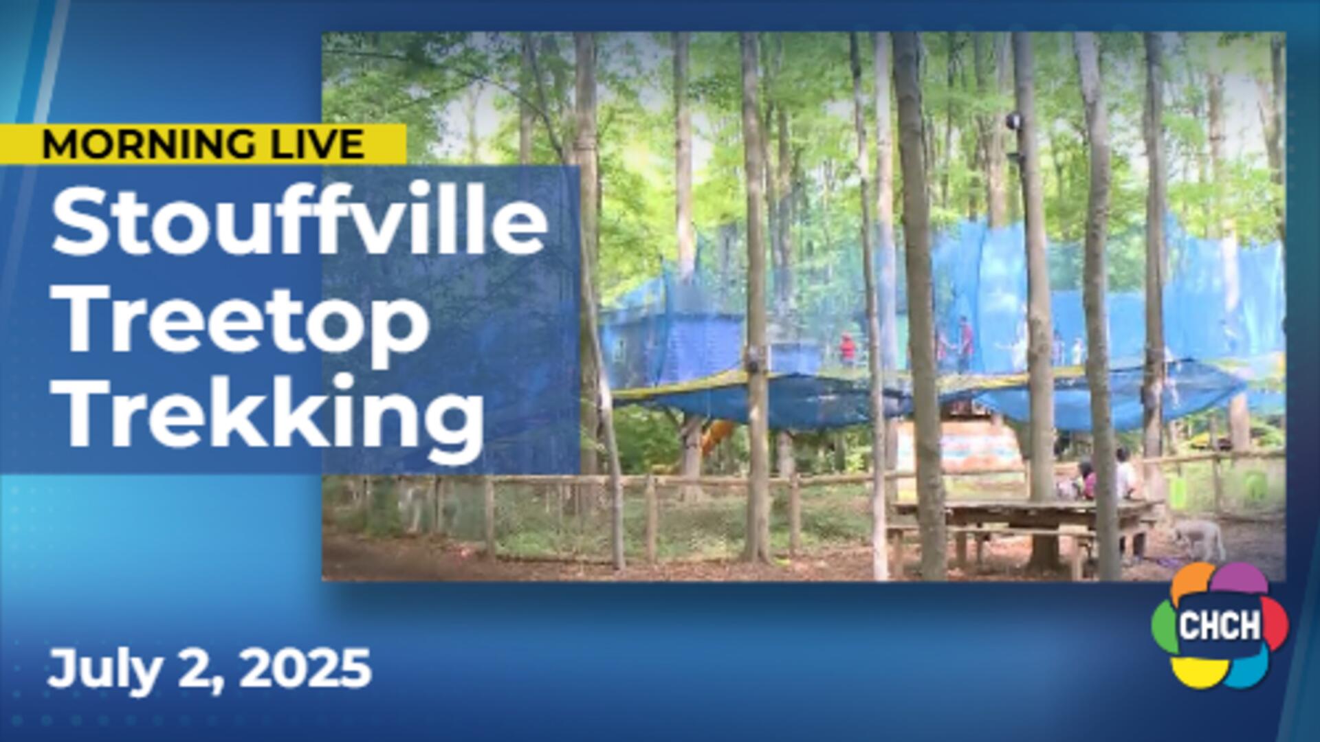 Adventure awaits at Treetop Trekking