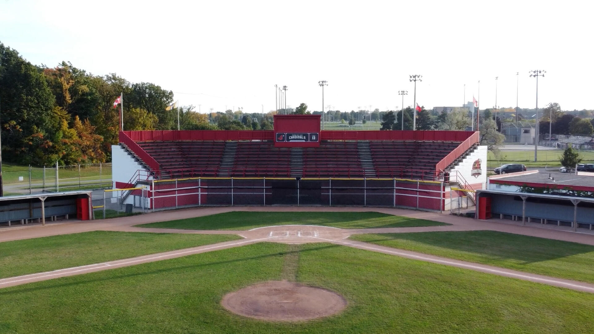 Take Flight: Hamilto Cardinals