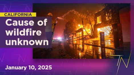 Cause of devastating LA wildfires remains unknown