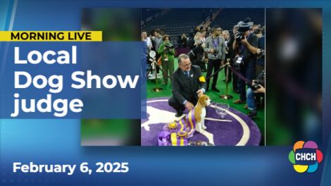 Milton man will be a judge at this weekend's 149th Westminster Kennel Club Dog Show