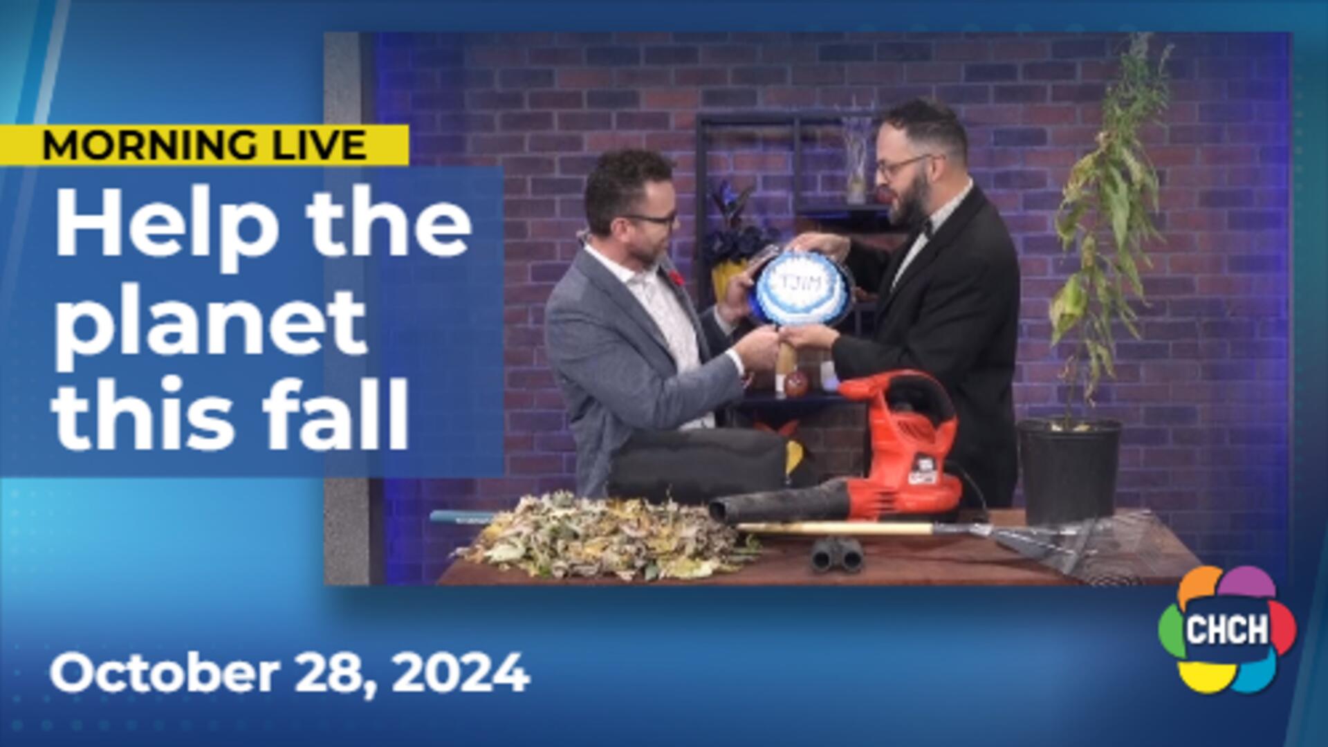 Tips for helping the planet this autumn