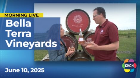 Bella Terra Vineyards has delicious wines in the heart of Niagara