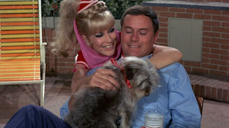 S5E002 Djinn-Djinn, the Pied-Piper