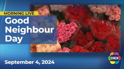 Jean's Flower Shop handing out 800 dozen roses to celebrate 'Good Neighbour Day'