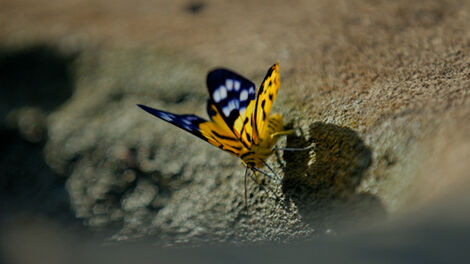 S2E002 Chaning Planet S02E002