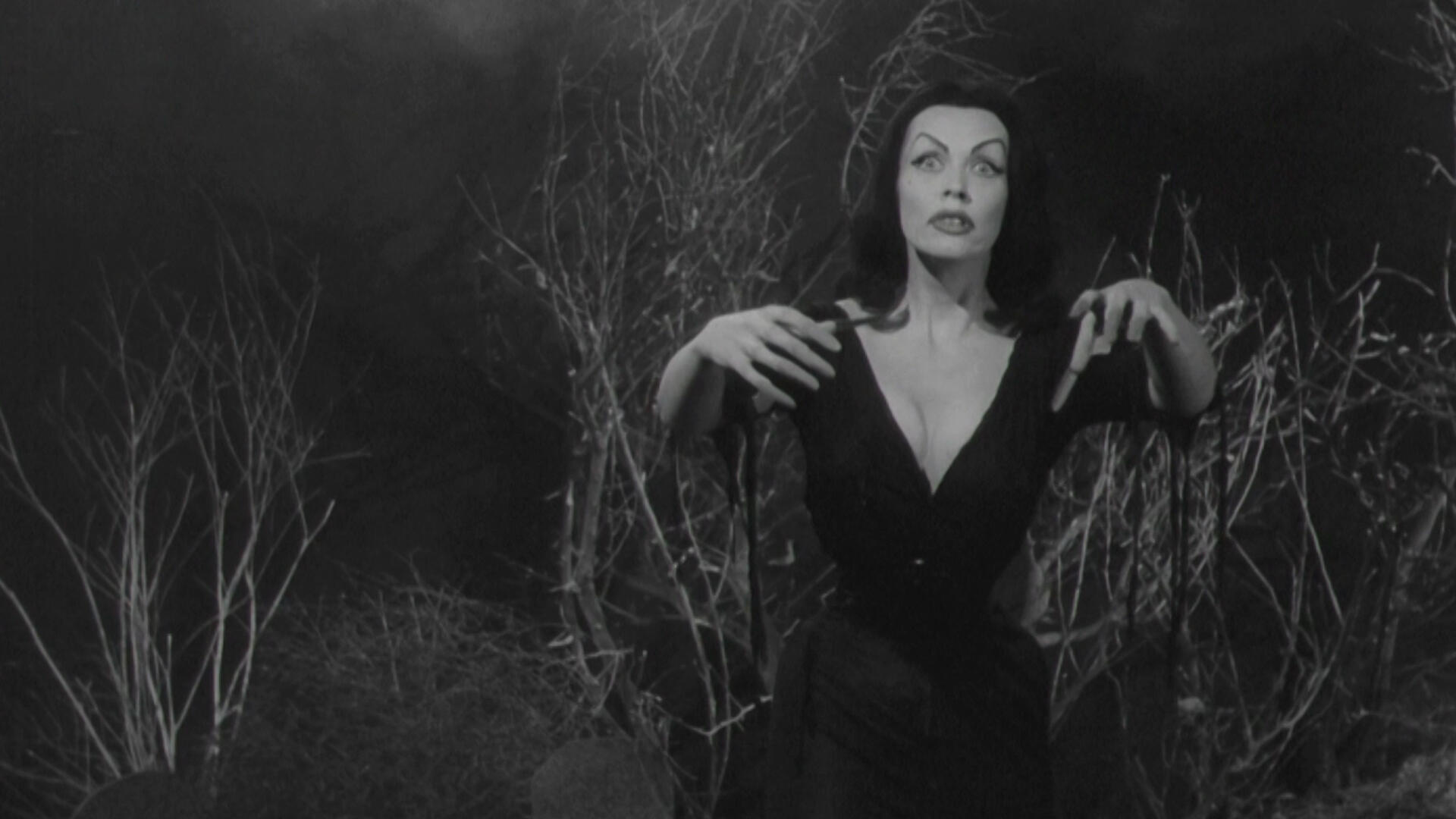 Plan 9 From Outer Space