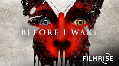 Before I Wake