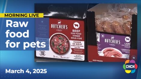 Raw food diets for your pet