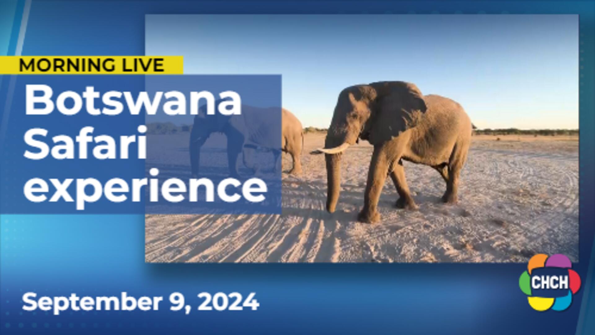 An unforgettable experience awaits on Safari in Botswana