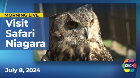 Activity and adventure awaits at Safari Niagara