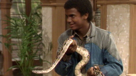 S5E011 Kate Lassos a Longhorn