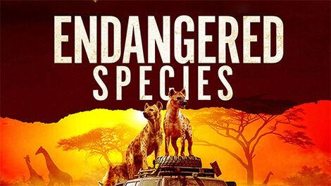 Endangered Species